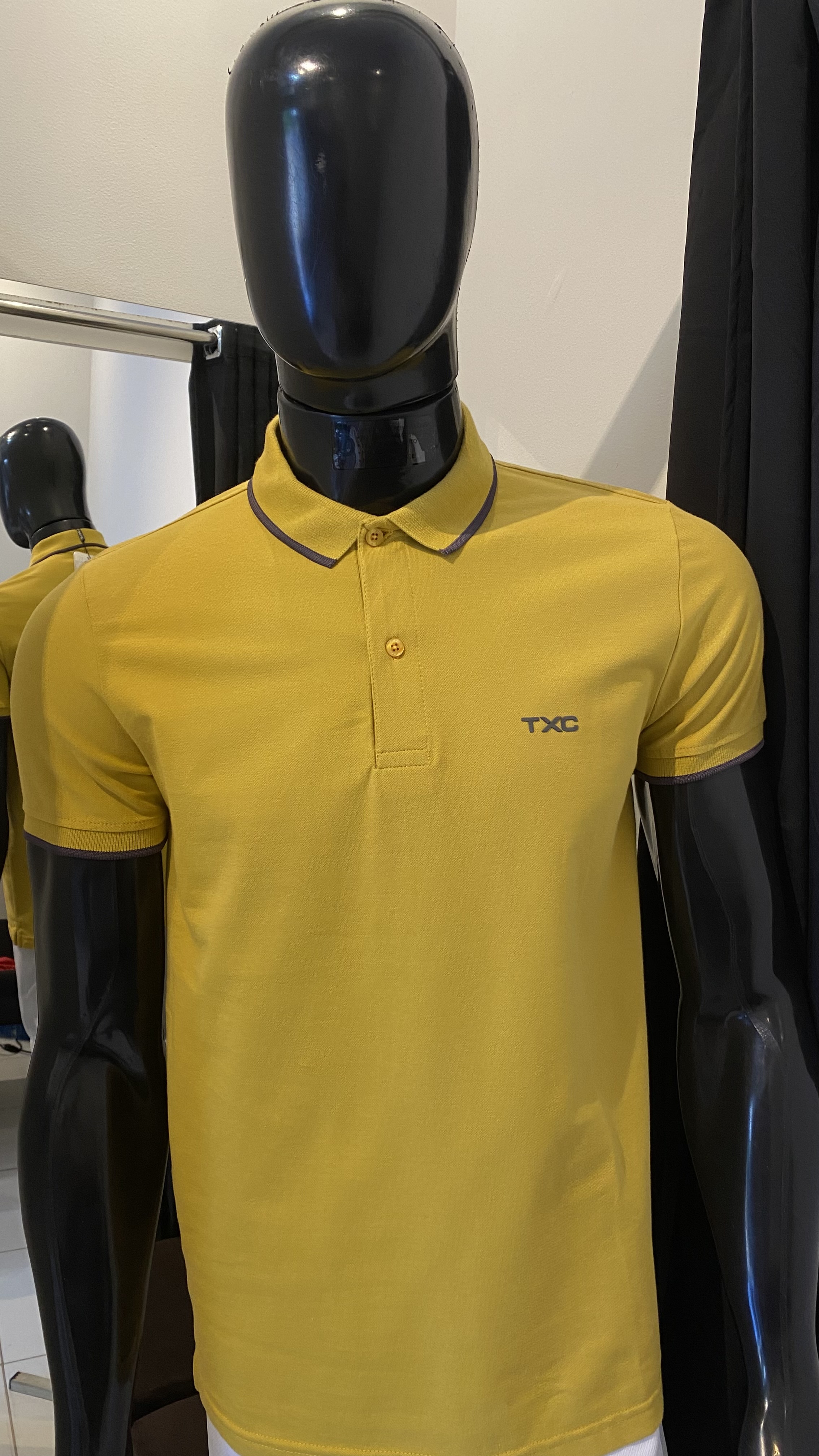 Camiseta Gola Polo